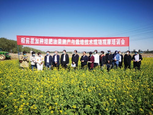 飼料綠肥油菜種植加工綜合利用關鍵技術研究與示范現場觀摩會成功舉辦，助推種植技術開發與集成應用