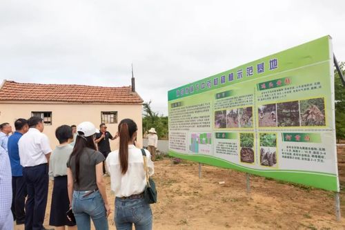 綠富雙贏 全市林下經(jīng)濟產(chǎn)業(yè)發(fā)展觀摩活動暨種植技術開發(fā)新篇章