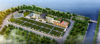 青島海水稻研發(fā)中心揭牌，首代稻種預計11月問世，技術開發(fā)引領農(nóng)業(yè)新篇章