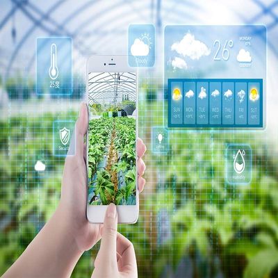 智慧農業(yè)新篇章 物聯(lián)網(wǎng)智能溫室冷棚一體化種植系統(tǒng)規(guī)劃設計與技術開發(fā)