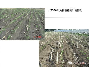 輕簡型免耕播種機的技術革新與種植應用——播種機械化發(fā)展研討會專題報告